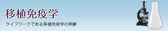 移植免疫学（ライフワークである移植免疫学の実験）